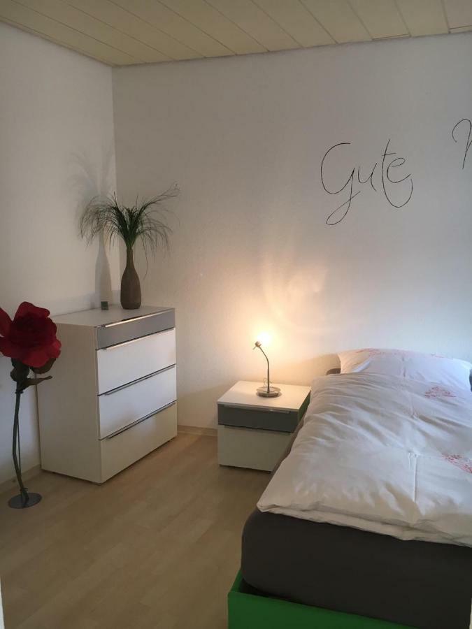 Gemuetliches Appartement Naehe Zentrum Mit Kueche Hassfurt Ngoại thất bức ảnh